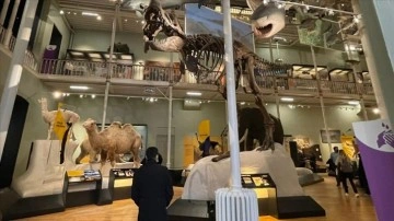 İskoçya Ulusal Müzesi, doğa, gün ve bilimi biricik bina altında topluyor