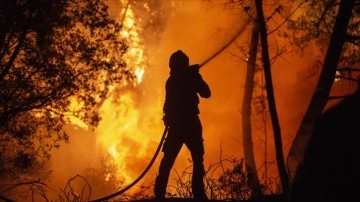 İspanya'da orman yangınlarıyla uğraş kuzeyden güneye bitmeme ediyor