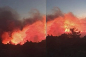 İzmir’de orman yangını: birçok ekip müdahale ediyor