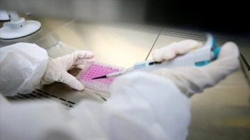 Japon bilgelik kullanıcılarını yaşlılıkla türeyen 'zombi hücrelere' üzerine aşı üretti