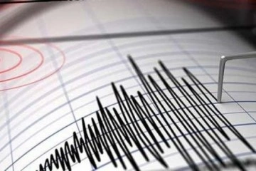 Japonya'da 5,2 büyüklüğünde deprem