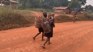 Kamerun’da Pigmeler 5 bin senedir yaşadıkları ormanlardan gücün çıkartılıyor