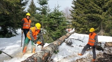 Karadeniz'de orman köylüleri dayanıklı kış şartlarında çalışıyor