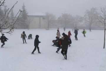 Kars'ta okullara kar tatili!