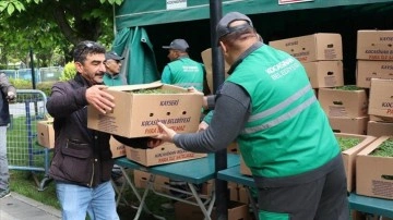 Kayseri'de kaymakamlık belediyesi 500 bin örgensel fide dağıttı