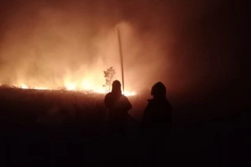 Kazakistan’da süren orman yangını nedeniyle acil durum ilan edildi