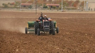 Kırşehir'de kuraklığa dayanıklılığının tespiti düşüncesince 35 tür arpa ve buğdayın deneyim ekimi yapı