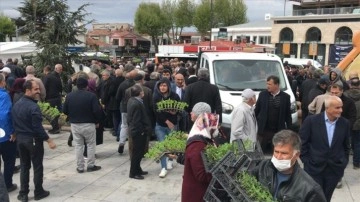 Kırşehir'de yerel tohumu heveslendirme düşüncesince 84 bin göveri fidesi dağıtıldı