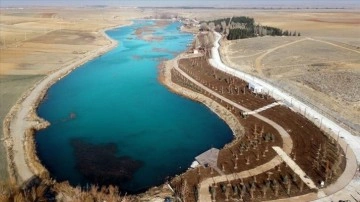 Konya Ovası'nın kuraklıktan etkilenmeyen gölü siper altına alındı