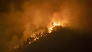 Marmaris'teki orman yangınına dahil sürüyor