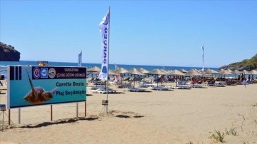 Muğla'daki kum zambaklarıyla adlı sanlı ahali plajına 'Caretta Dostu Plaj' unvanı verildi