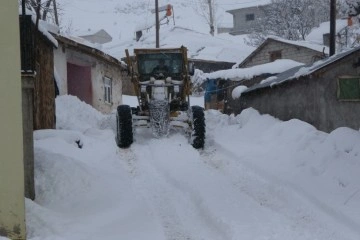 Muş'ta 115 köy yolu kardan kapandı