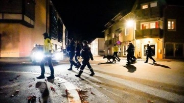 Norveç'te oklu saldırıda 5 ad yaşamını kaybetti
