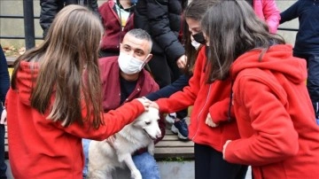 Öğrenciler, "Krema" isimli sanlı köpeğin ameliyatı için seferber oldu