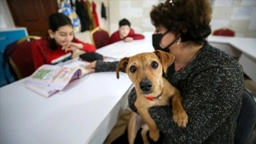 Okul müdürünün köpeği "Tarçın" engellilerin dershane arkadaşı oldu