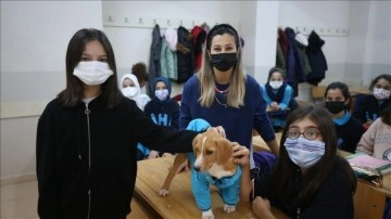 Ordu'da öğrencilerin "Karamel" ismini verdiği köpek okulun maskotu oldu