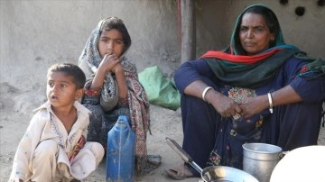 Pakistan çöllerinde canlı Rohiler, zorluğa karşın ağababa vatanlarını ayrılma etmiyor