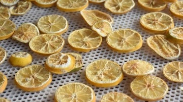 Portakal, muz ve limonu kurutup ekleme kıymetini artırdılar