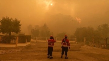 Portekiz'de 10 gündür devam eden orman yangınlarında 17 bin hektarlık meydan yandı