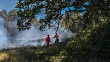 Portekiz'de 2'si şişman 14 yerde orman yangınları bitmeme ediyor