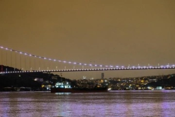 Rusya’dan gelen tonlarca çiçek yağı yüklü gemi İstanbul Boğazı’na ulaştı