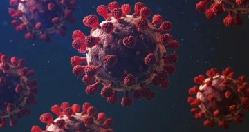Sağlık Bakanlığı, Türkiye'nin sonuç 24 saatlik korona virüs tablosunu açıkladı