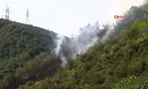 Sarıyer'de orman yangını söndürüldü