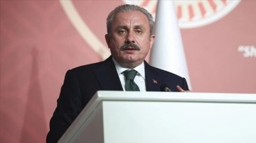 Şentop, HDP'li Paylan'ın sanki "Ermeni soykırımı" teklifini iadeli etti