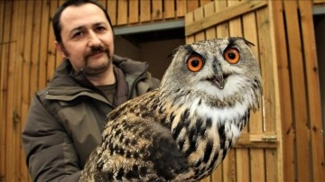 Sinop'taki tarz 4 yılda 1050 yaban hayvanına ev sahipliği yaptı