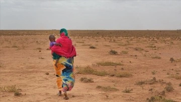 Somaliland'deki çatışmalar zımnında yüzlerce ad evini vazgeçme etti