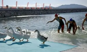 Sporcular, ördeklerle yarıştı