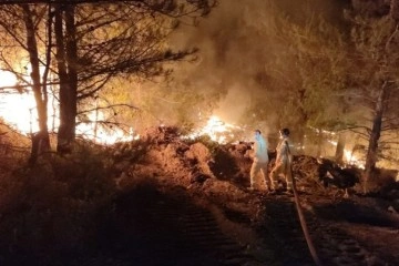 Tarım ve Orman Bakanlığından Datça orman yangını açıklaması