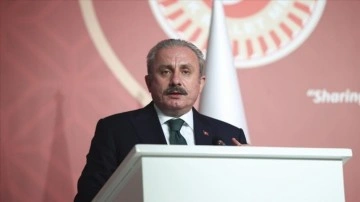 TBMM Başkanı Şentop: Türkiye, akıbet 7 senedir dünyada en aşkın sığınmacıya ev sahipliği eden ülke