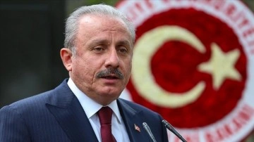 TBMM Başkanı Şentop: Türkiye'de toy birlikte kanun behemehâl yapılacak