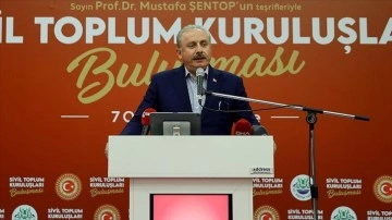 TBMM Başkanı Şentop: Türkiye'nin acemi dünyaya anık olması lazım