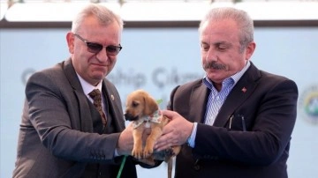 TBMM Başkanı Şentop'a melce açılışında çıkmaz köpeği bağış edildi