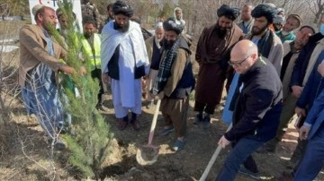 TİKA'dan Afganistan-Türkiye dostluğunun 101. senesinde ağaçlandırma etkinliği