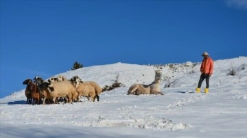 Tunceli'nin köylerinde sıkıca kış koşulları yaşamı aksi etkiliyor