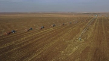 Türkiye'nin en şişman işletmesinde hububat tohumları toprakla buluştu
