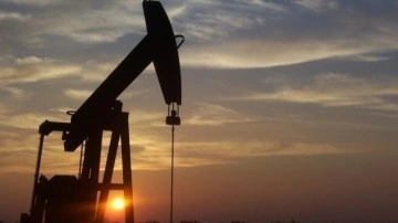 Uluslararası Enerji Ajansı: Dünyanın yaklaşan gelecekte hala petrole gereksinimi olacak