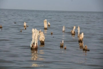 Van Gölü’nde sular çekilince 60 yıllık iskele gün yüzüne çıktı