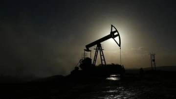 WTI petrolün varil fiyatı sonuç 7 senenin en erdemli seviyesini gördü