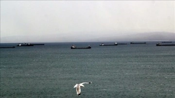 Yük gemileri demir yel zımnında Sinop natürel limanına demirledi